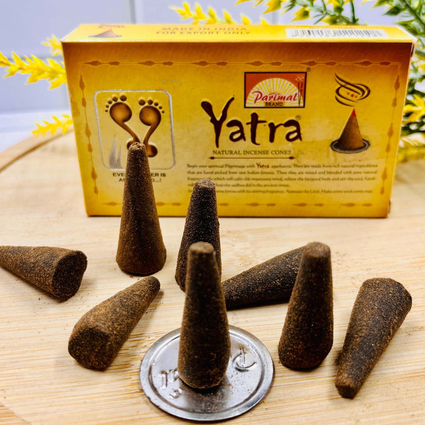 Parimal Yatra Natural Cones