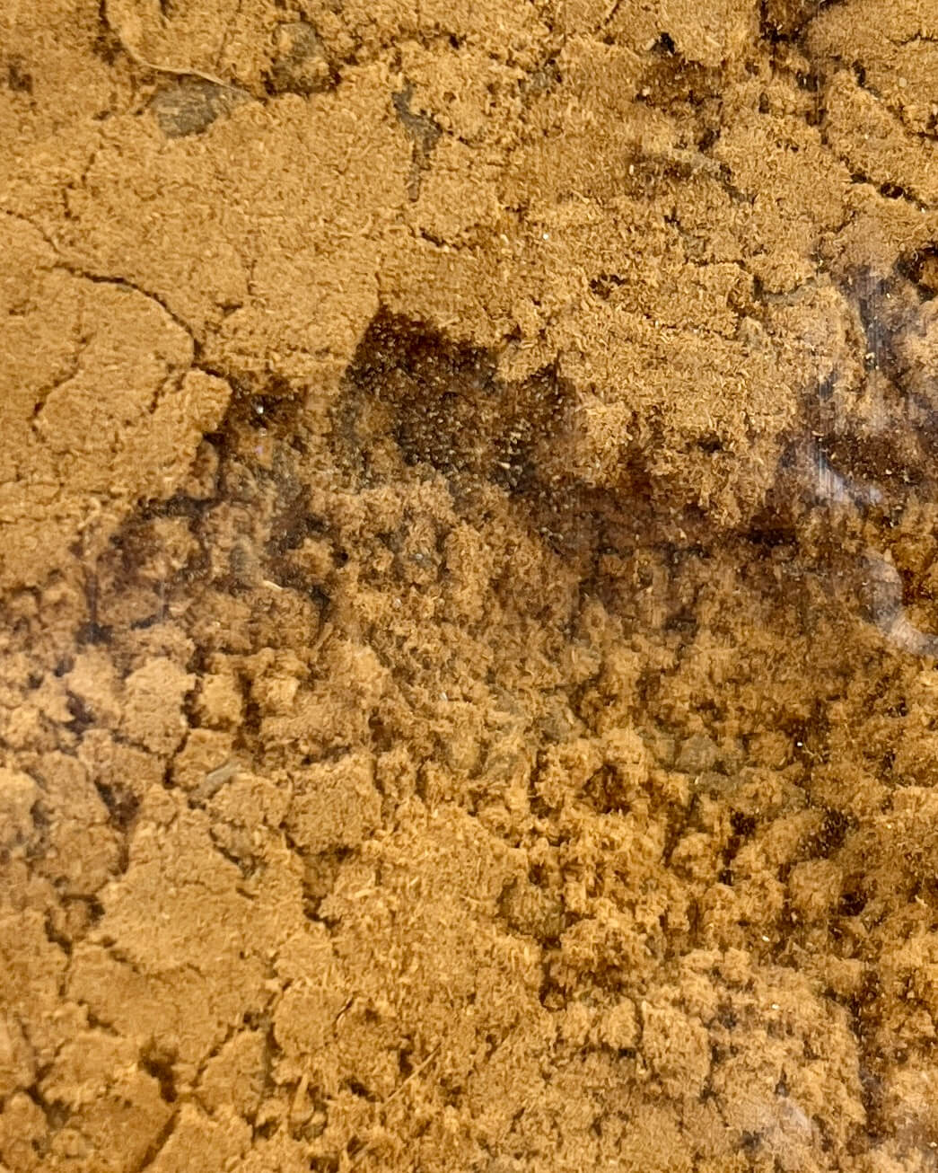 Ullas Organic Incense powder SANDAL 25g