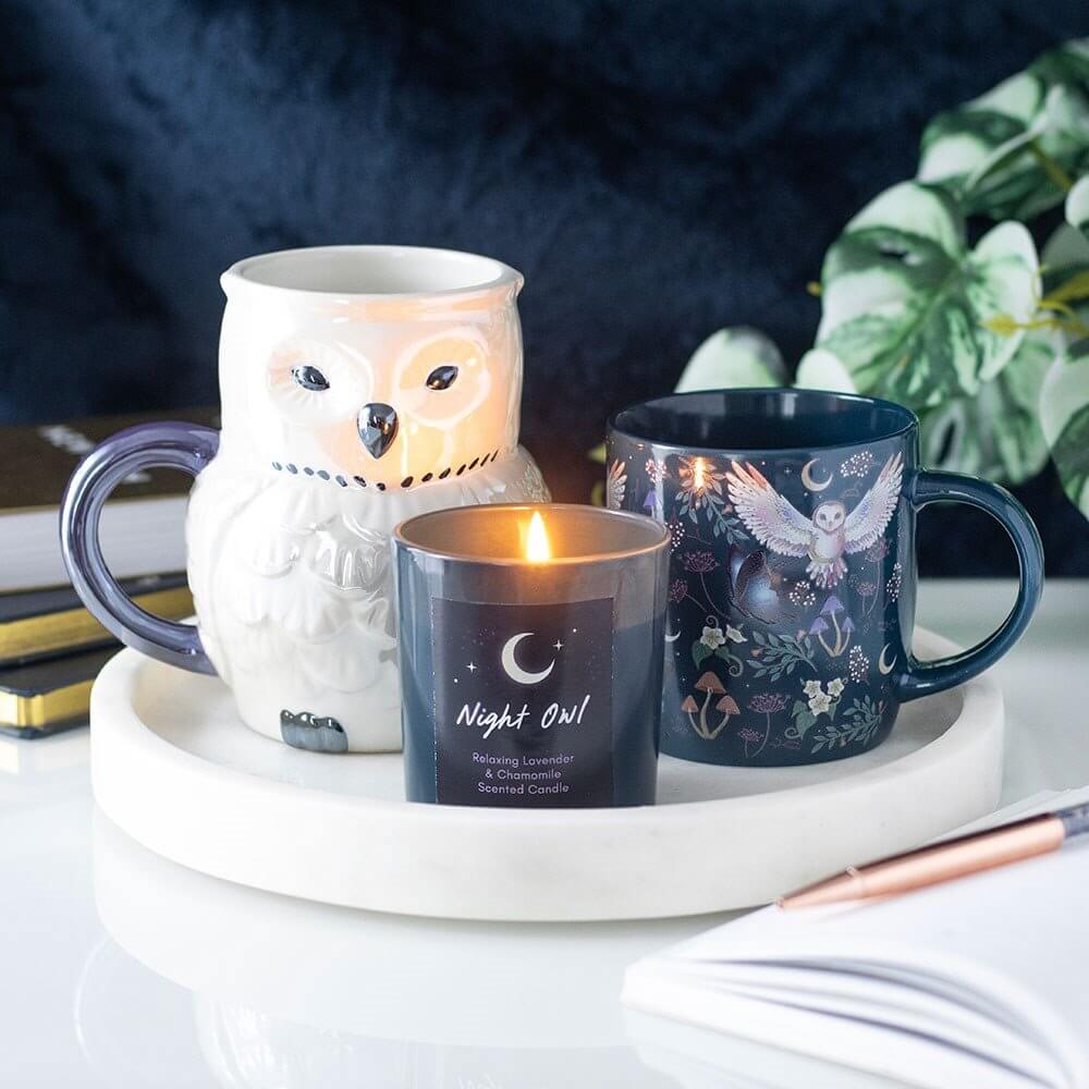 Night Flight All Over Print Owl Ceramic Mug