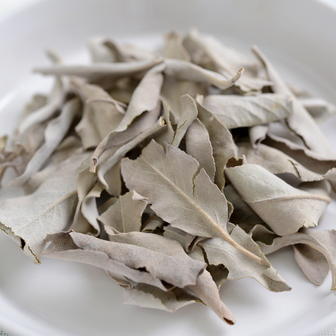 California White Sage LOOSE