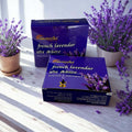 Aromatika French Lavender incense cones