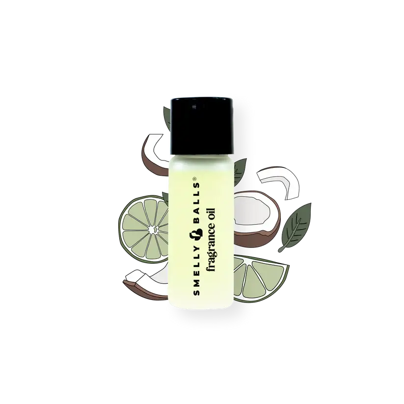 Smelly Balls SUN SEEKER with Coconut & Lime Fragrance Pack Reusable Air Freshener
