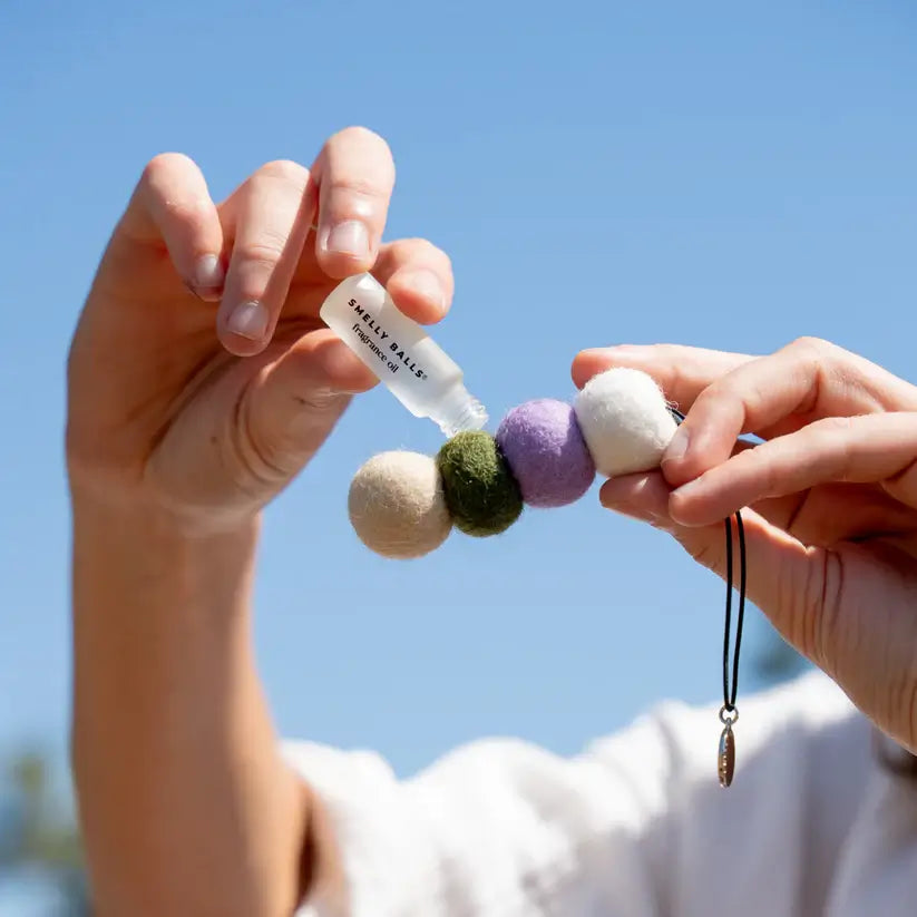 Smelly Balls DESERT BLOOM with Cactus Face Fragrance Pack Reusable Air Freshener.
