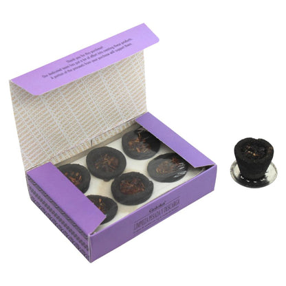 Goloka Resin Smudge Cups HEAVY CLEANING & DISCHARGE