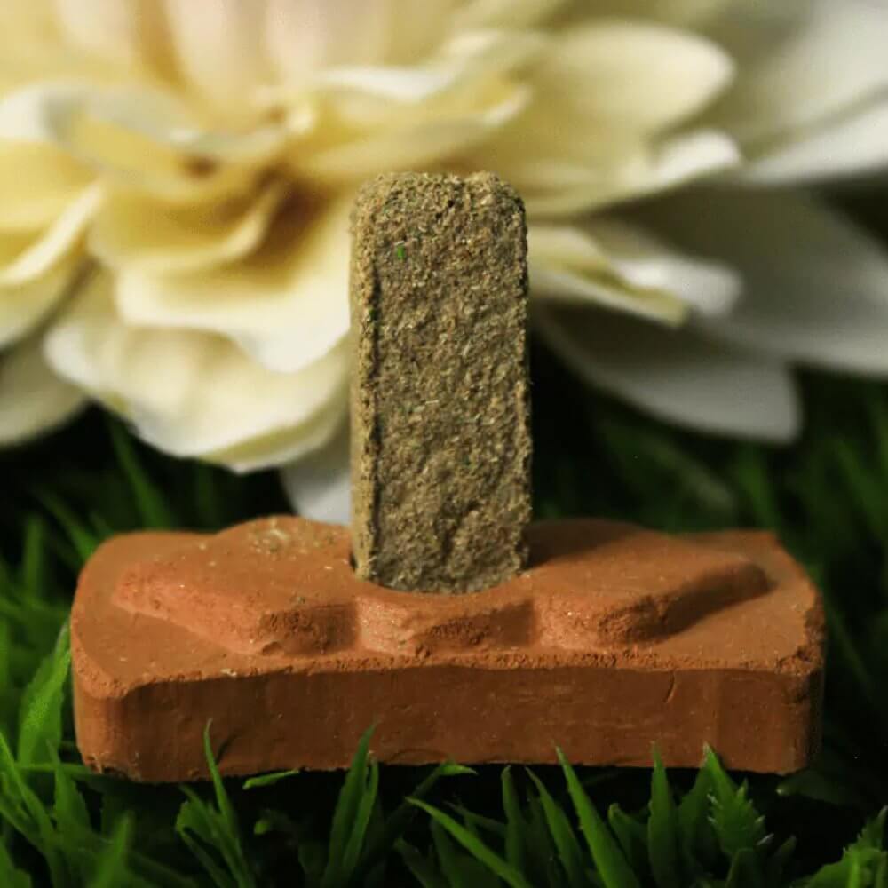 Green Tree PALO SANTO Smudge Bricks Incense