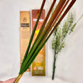 Himalayan Magical Series MONEY DRAWING sparkle incense Cinnamon & Lemongrass