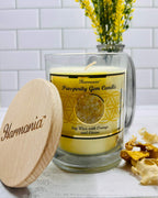 Harmonia ORANGE Soy Wax Gemstone Candle - Citrine Prosperity