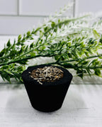 Banjara Resin Smudge Cups WHITE SAGE