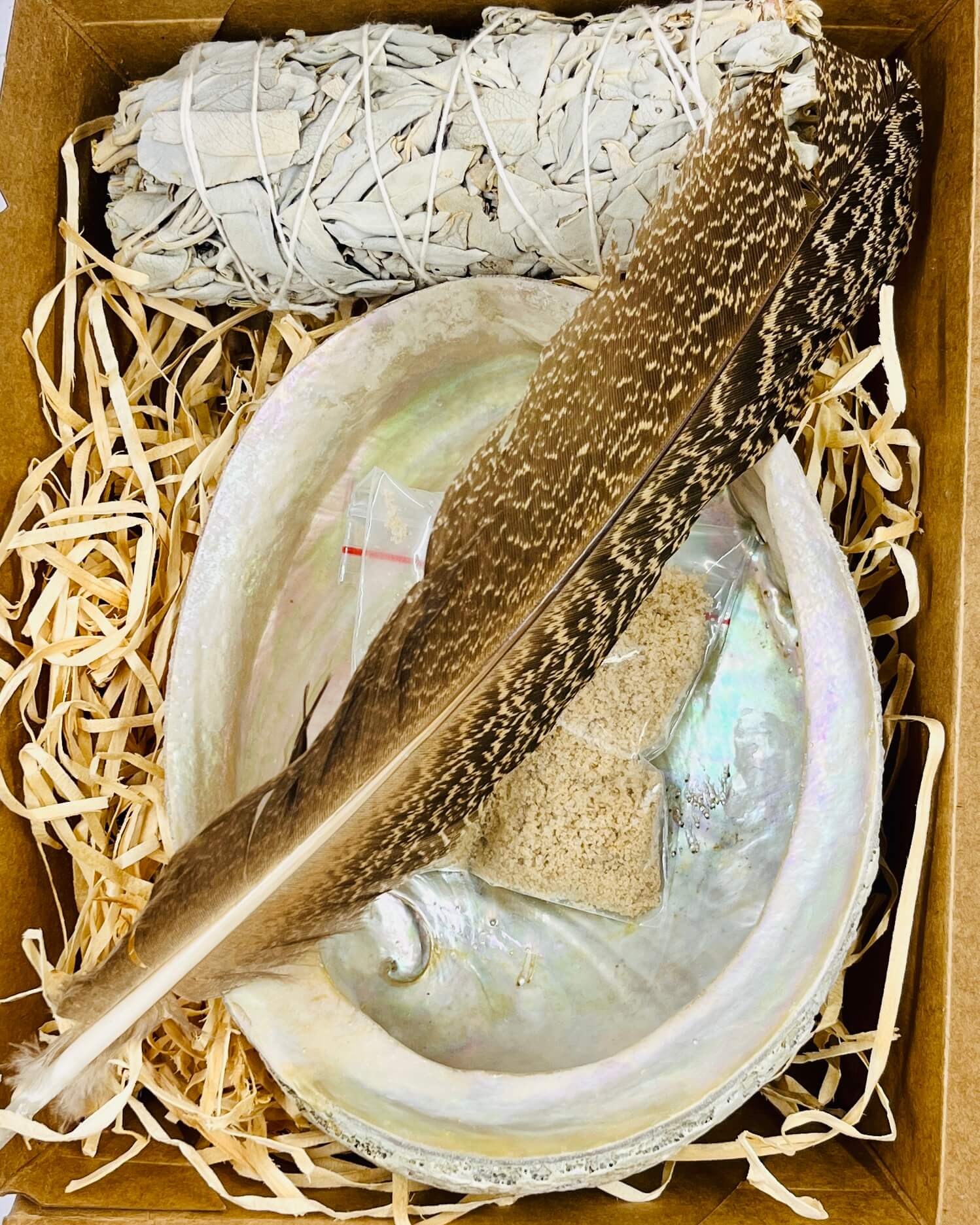 Sacred White Sage & Abalone Shell Smudge Gift Set