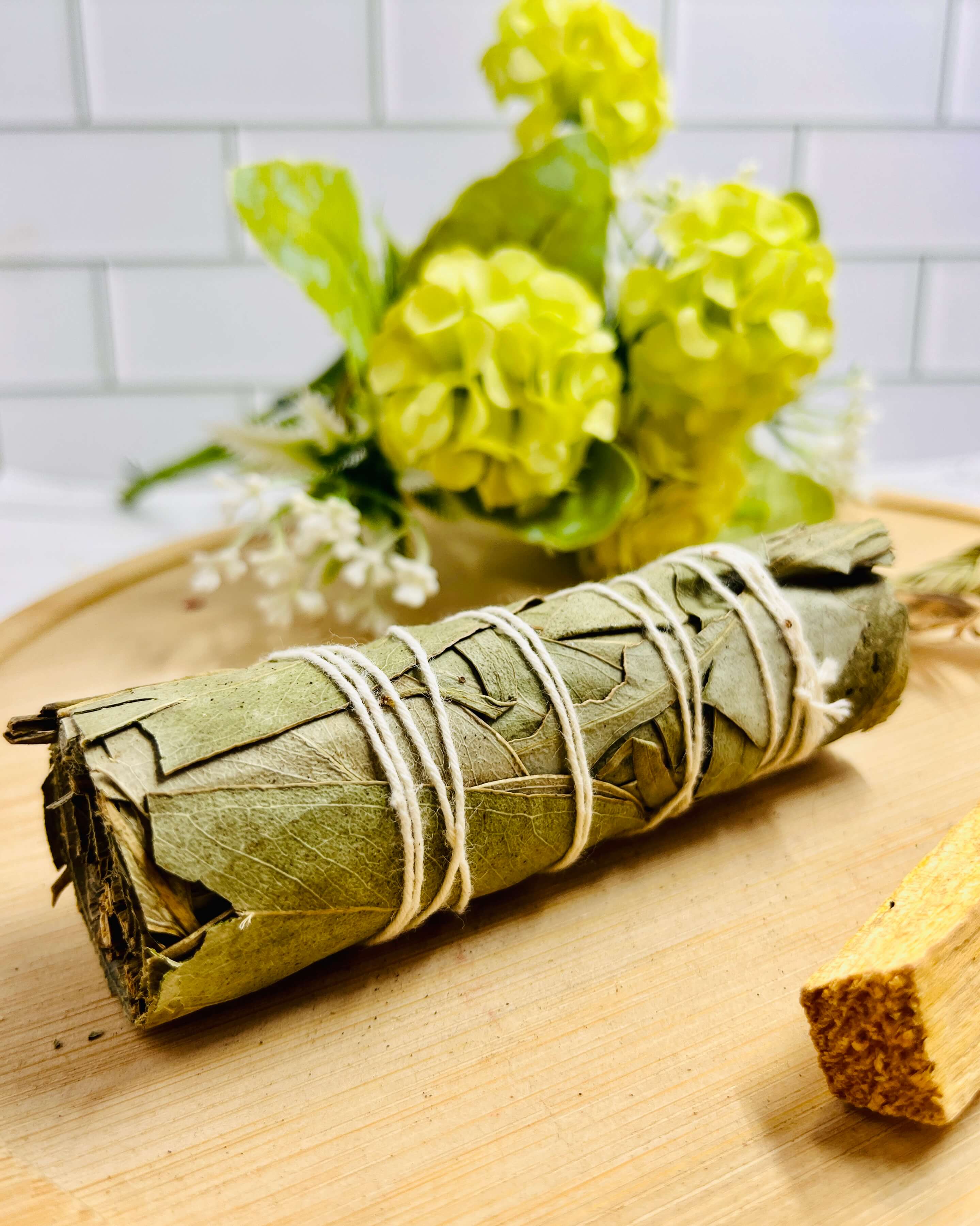 Smudge Starter Set Eucalyptus Sage