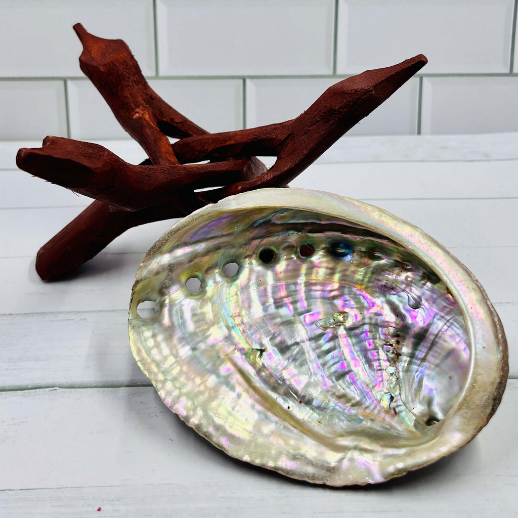 Abalone Shell Tripod Stand smudge stick Holder