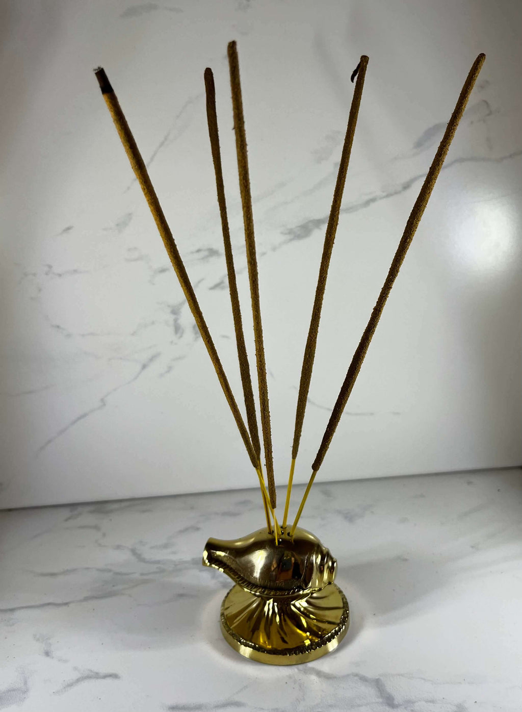 Solid Brass Shell Incense Holder