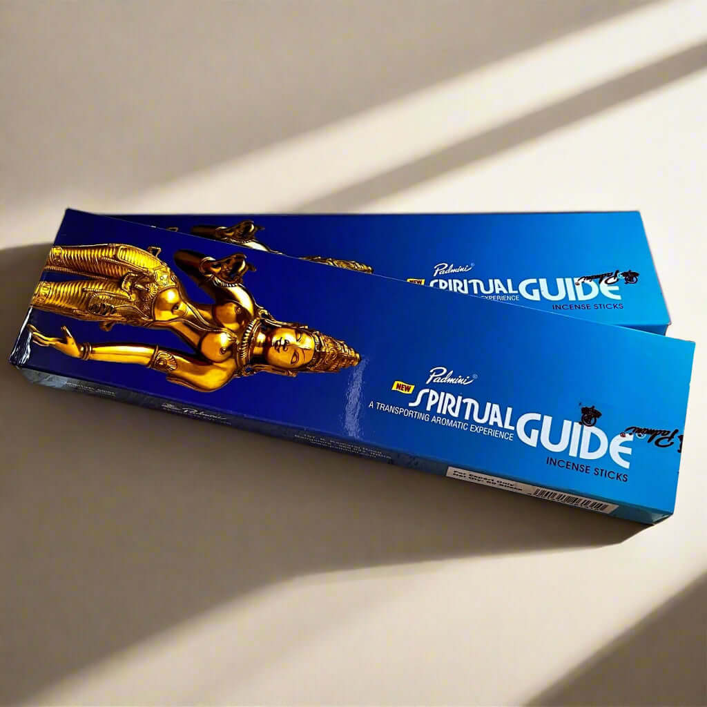 Padmini Spiritual Guide 100g Box Incense