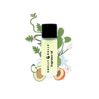 Smelly Balls DESERT BLOOM with Cactus Face Fragrance Pack Reusable Air Freshener.