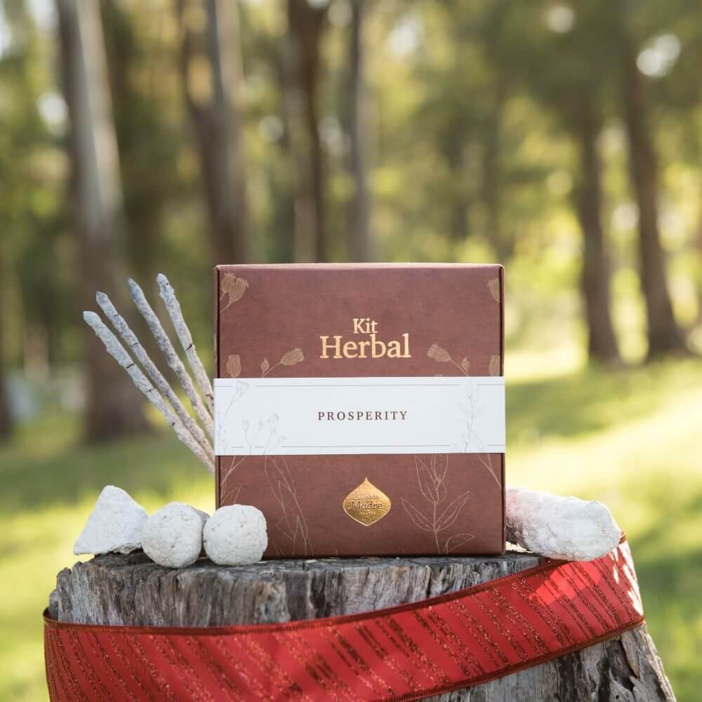 Sagrada Madre Herbal Incense Kit PROSPERITY