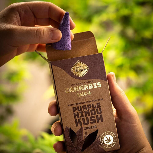 Sagrada Madre GROW Cones PURPLE HINDU KUSH