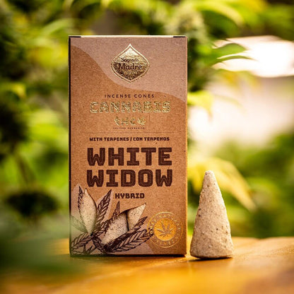 Sagrada Madre GROW Cones WHITE WIDOW
