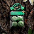 Sagrada Madre RITUAL Smudge Ball Bomb TRANQUILITY - Lilies of the East