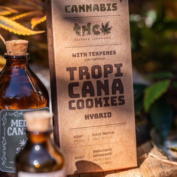 Sagrada Madre Grow Incense TROPICANA COOKIES
