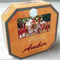 Darshan AMBER Incense Coil