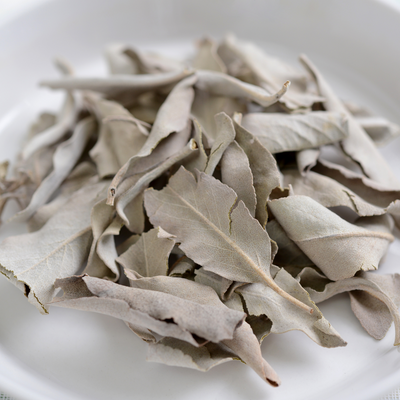 White Sage