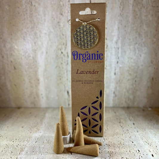 Organic Goodness Cones LAVENDER