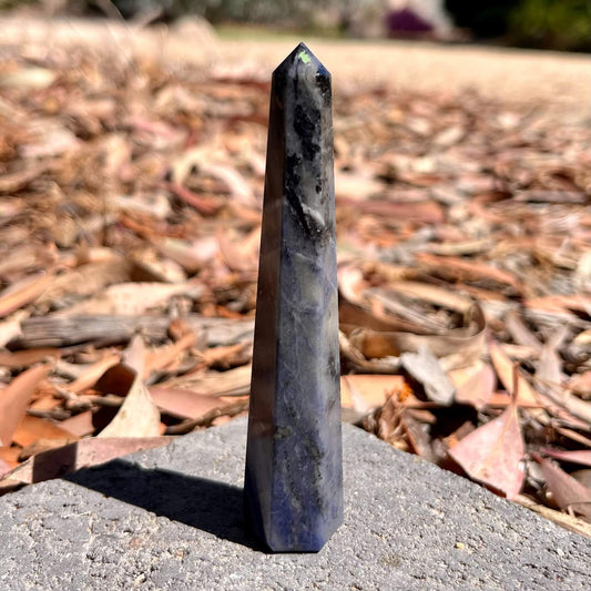 Crystal Carved Obelisk SODALITE