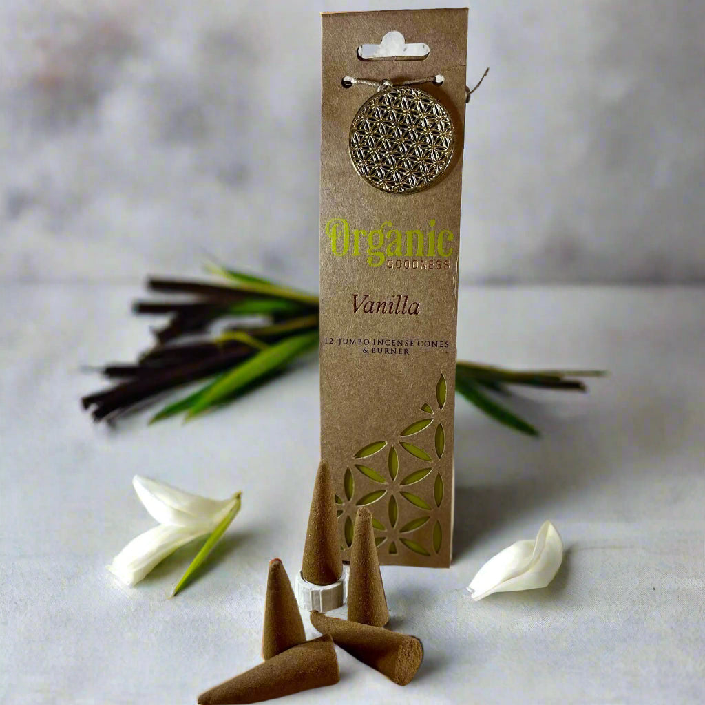 Organic Goodness Cones VANILLA