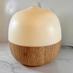 Ultrasonic 5 in 1 Aromatherapy Diffuser OASIS