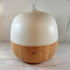 Ultrasonic 5 in 1 Aromatherapy Diffuser OASIS